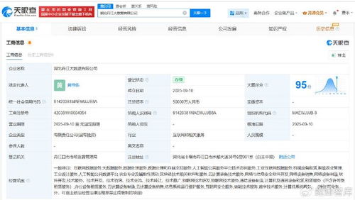 湖北丹江大數據公司成立，5億注冊資本瞄準數據處理服務新藍海